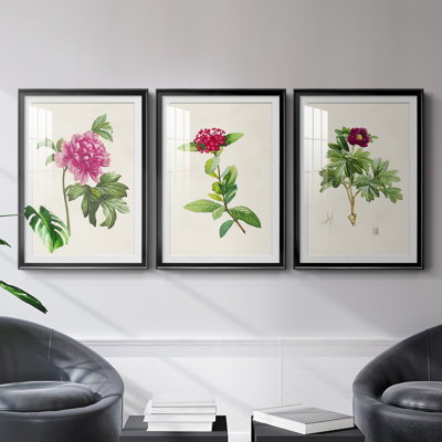 «Pretty Pink Botanicals I», reproduction encadrée de qualité supérieure - prête à être accrochée