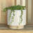 Winkler Vertical Stripes Pot Planter
