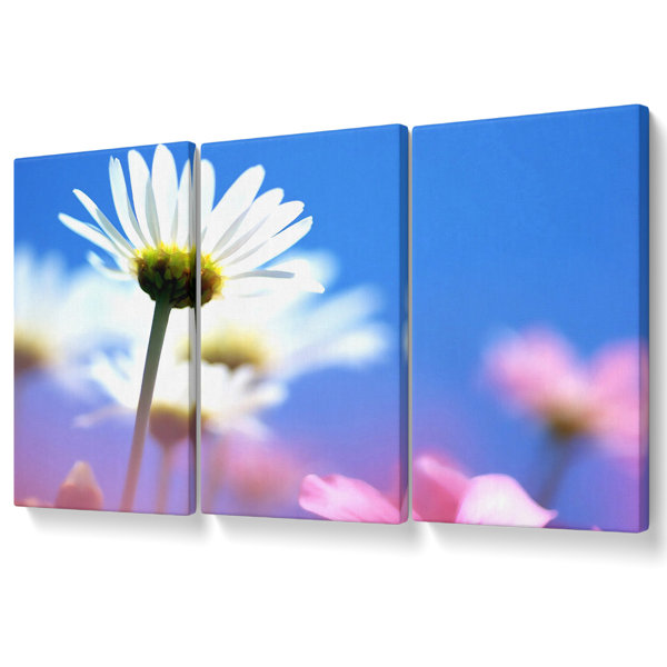 Ebern Designs Daisies In The Sky - 3 Piece Wrapped Canvas Print ...