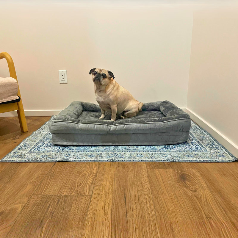 Tapis de lit pour chat lavable The Avalon Society, bleu argenté, 36 x 48 po, H 36 po x l 48 po x P 0,12 po, Bleu argenté