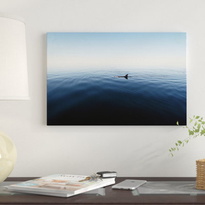 «Bottlenose Dolphin Surfaces, Shark Bay, Australie», reproduction de photo sur toile