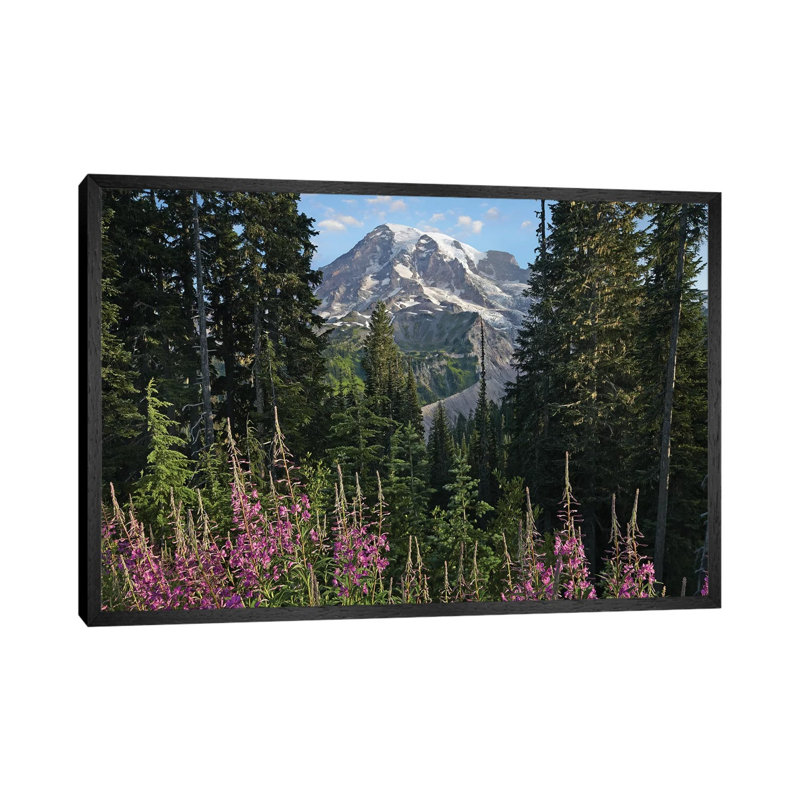 Fireweed Flowering And Mount Rainier, Mount Rainier National Park, Washington 1 Piece Wall Art on Canvas, Black Framed