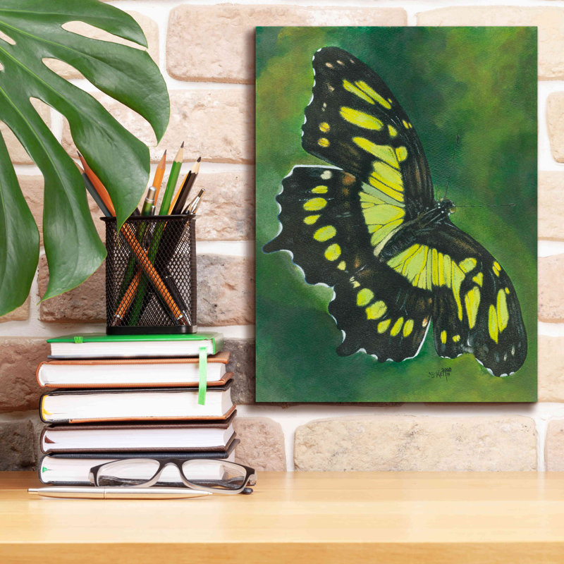 «Kearea Malachite Butterfly On Canvas» par Barbara Keith, reproduction, H 16 po x l 12 po x P 0,75 po
