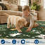 Tapis lavable à la machine Cute-373637292-373637291