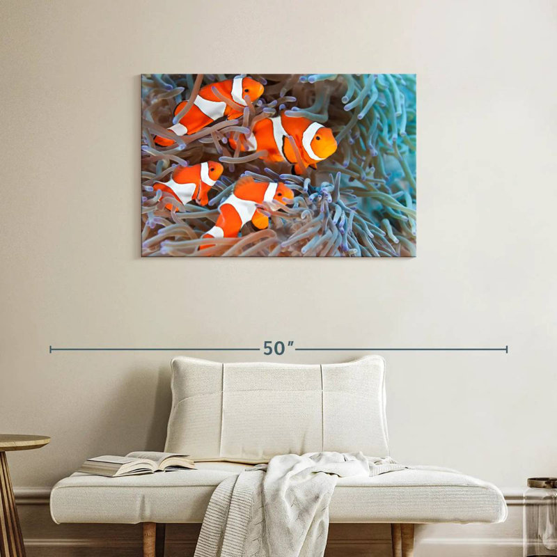 Crowle Clown Fish, 24" H x 36" W