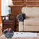 Pizarro Super Soft Stretchy Texured Grid Box Cushion Armrest Slipcover