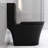 Bathroom Toilet In Matte Black, Dual Flush 1.1/1.6 , High-Performance Flushing System Hygienic-124251551