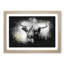 Paint Splattered Highland Cow Framed Print-56866157-56866160