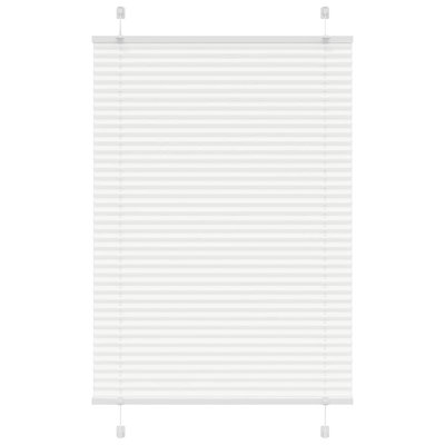 Room Darkening Pleated Shade