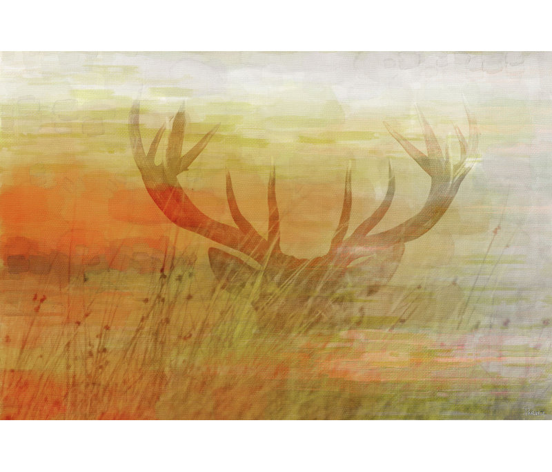 Parvez Taj - Wrapped Canvas Print, 41cm H x 61cm W x 5cm D