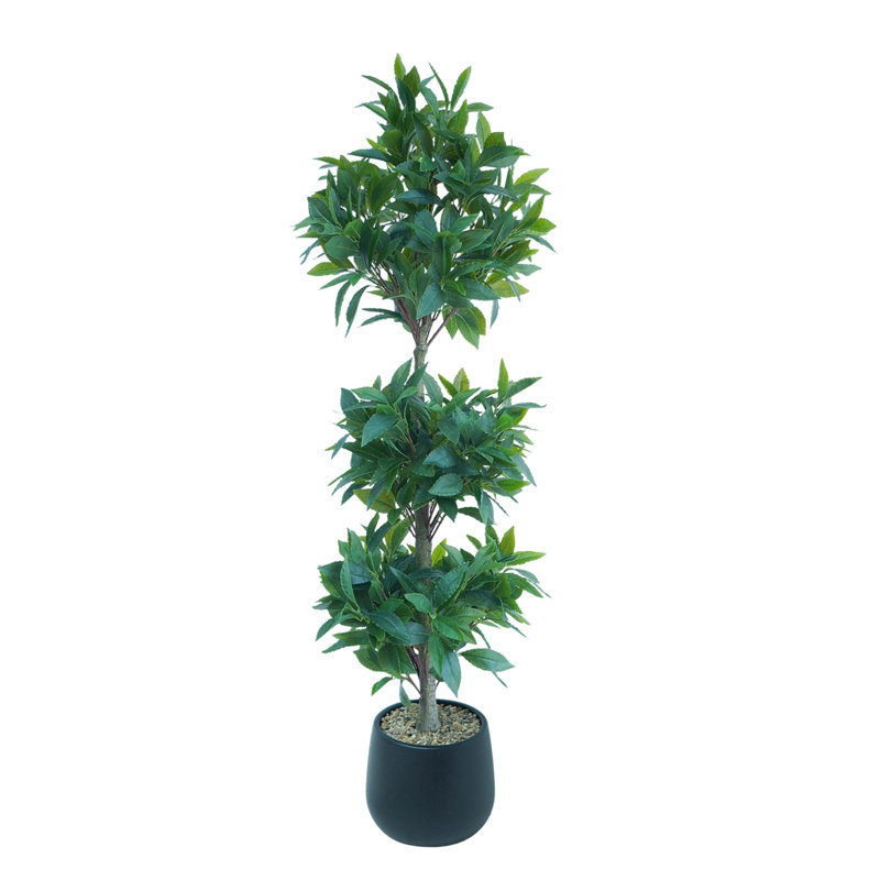 120cm Plant