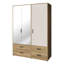 Rajish Manufactured Wood Wardrobe