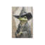 Le crapaud enchanté-1111768437-1111768440-1111768418