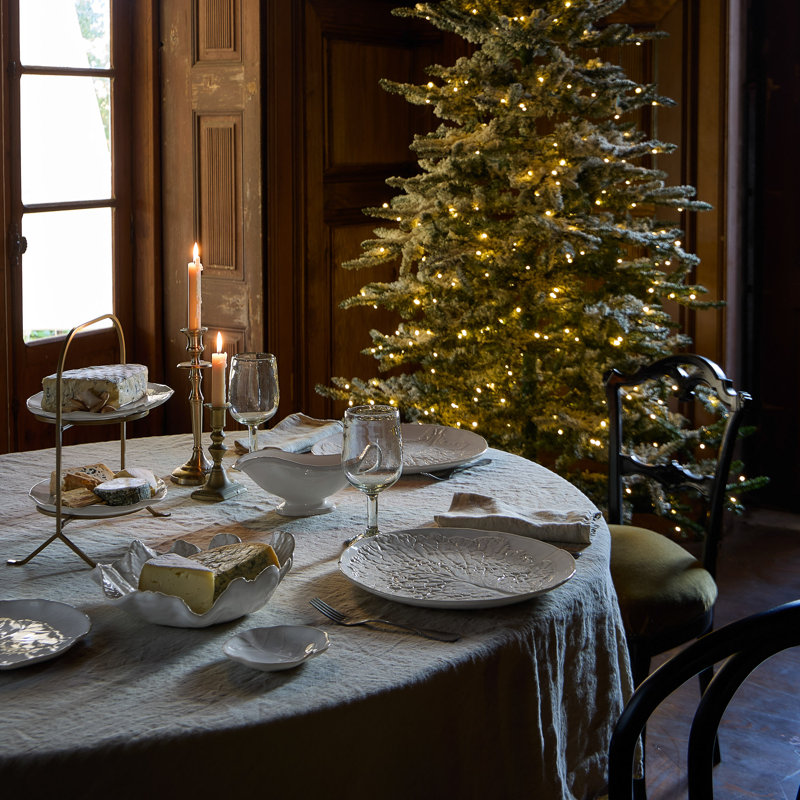 Assiettes à apéritif, Fenouil blanc