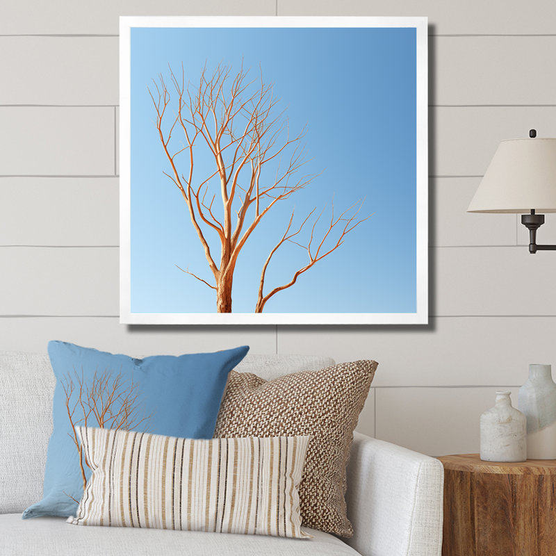 «Blue Timbers Trace Photo I», reproduction sur toile, H 24 po x l 24 po x P 1 po, Cadre simple blanc