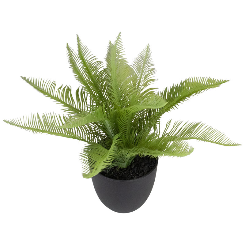 Evergreen Bliss 12" Artificial Pinus in Black Pot for Indoor/Outdoor Decor
