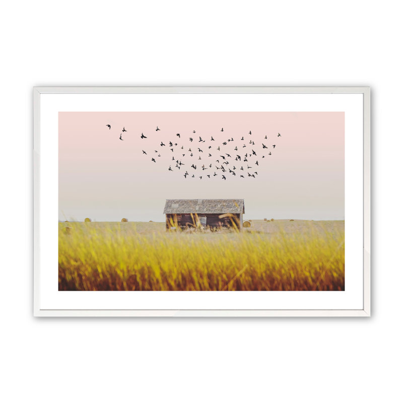Aarez Harvest Season par Annie Bailey Art, Noir satiné, H 11 po x l 14 po x P 1,25 po