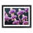 Black Framed selected