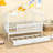 Quiogue Daybed with Trundle-162745284-162745291