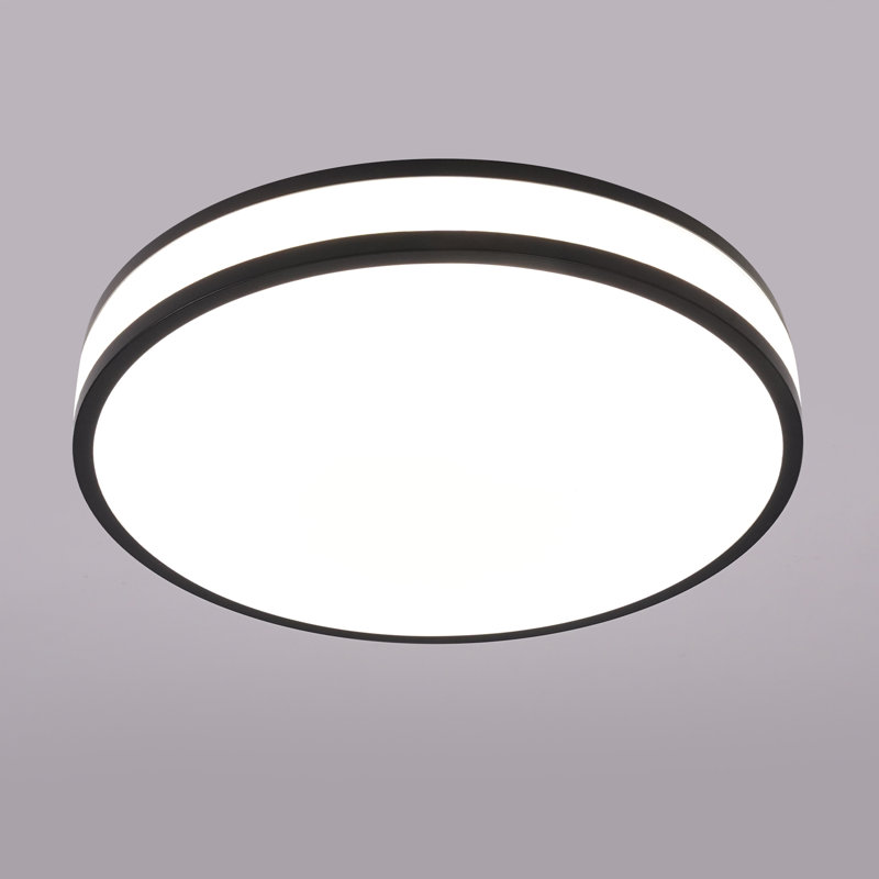 3.5x15" Acrylic LED Ceiling Lamp 