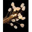 16 - Light Chandelier