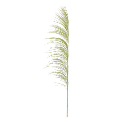 Vickerman Uva Palm Spray 71'' Palm Plant