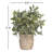 11.5'' Faux Eucalyptus Plant in Ceramic Pot
