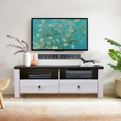 Anthony  TV Console accommodates up to a 60" TV