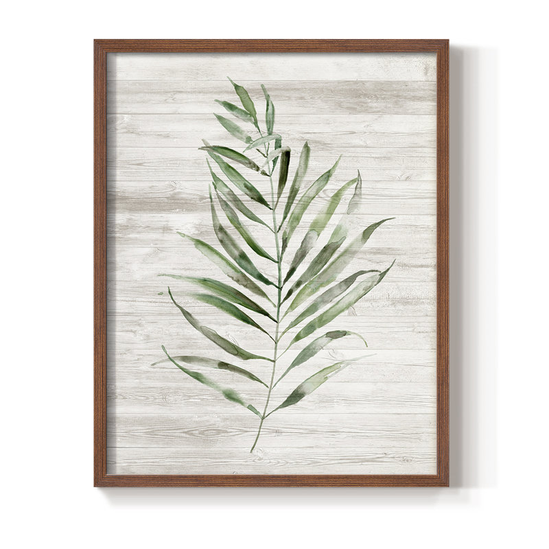 «Tropic Frond II», reproduction encadrée - bois massif, Brun, H 10 po x l 8 po