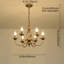Lustre classique / traditionnel à 6 lumières à intensité variable Dirksen-95479656