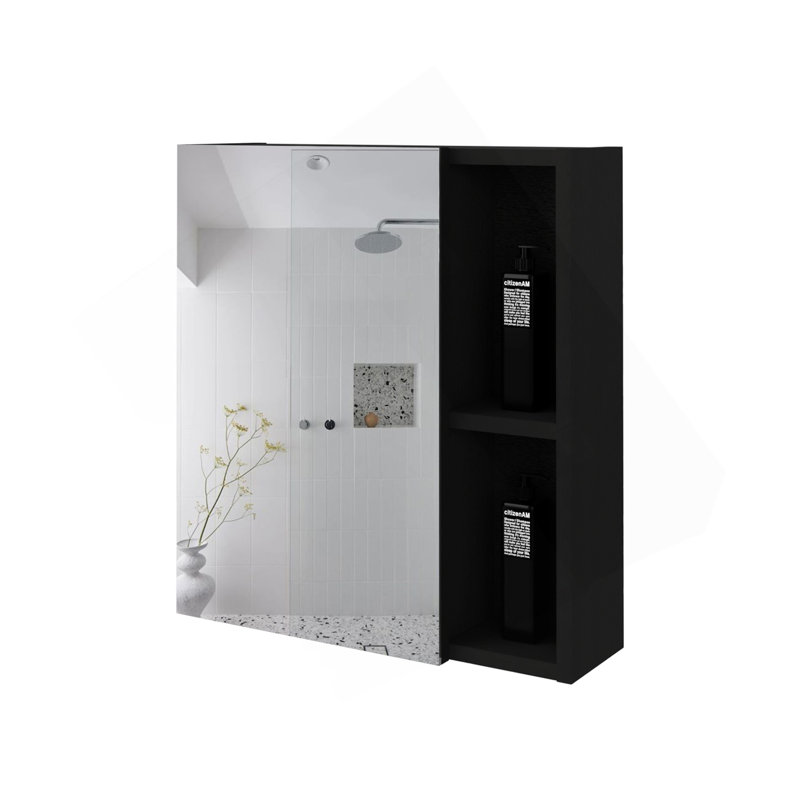 Armoire à pharmacie à miroir Lincoln, cinq tablettes intérieures, Noir