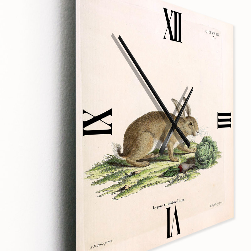 Horloge murale lapins, Moyen