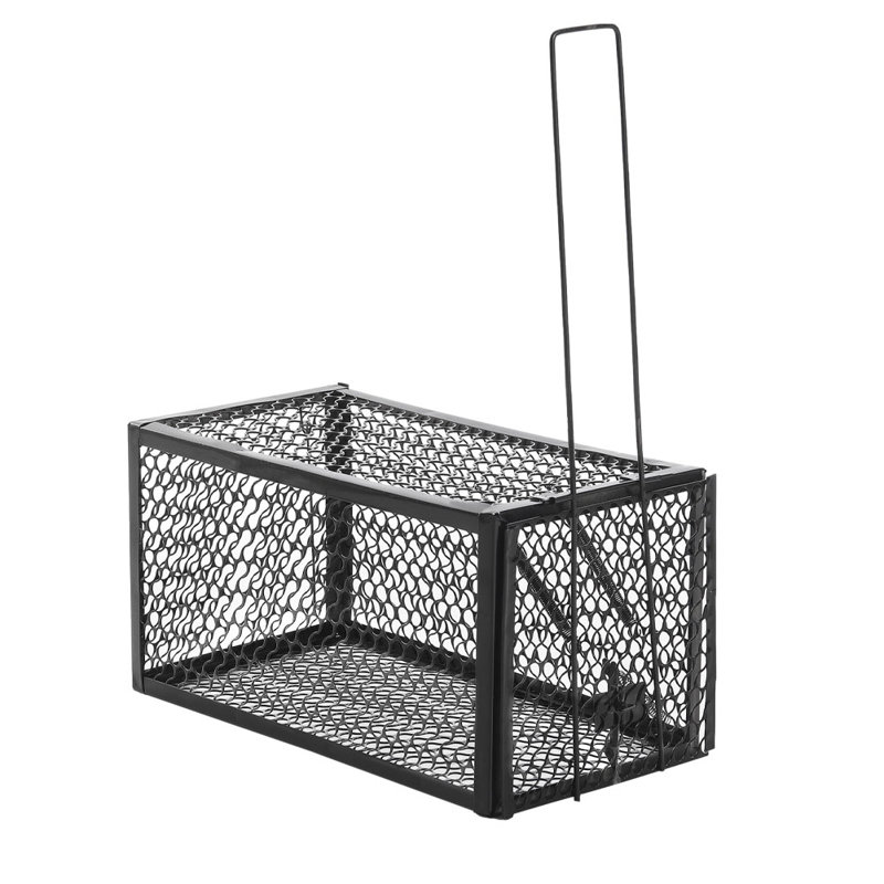 Mouse Cage