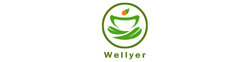 Wellyer Inc. logo