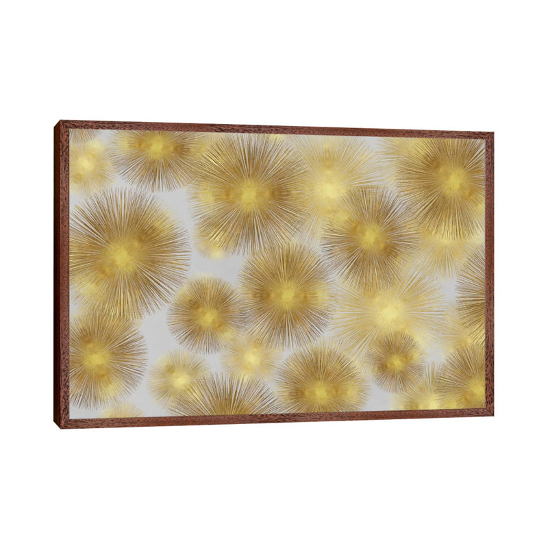 Sunburst Cluster by Abby Young - Print on Canvas, 101.6 cm H x 66.04 cm W, Brown Floater Framed