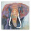 " Colourful Elephant "