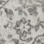 Coleridge Oriental Area Rug-1516942347