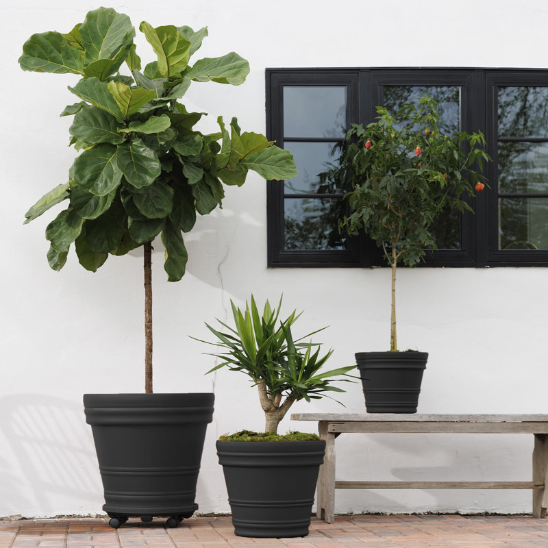 Rolled Rim Resin Indoor/Outdoor Planter Pot, Black, 19.5" H x 21.5" W x 21.5" D