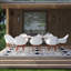 Alyisa 8 - Person Wood Patio Dining Set with Rectangular Table