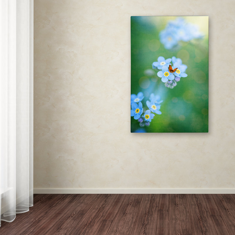 Forget-Me-Not - reproduction de photo sur toile, H 32 po x l 22 po x P 2 po