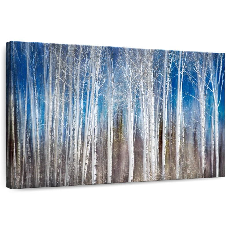 Alvord Forest Birches In Spring