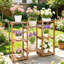 Bryhana Plant Stand