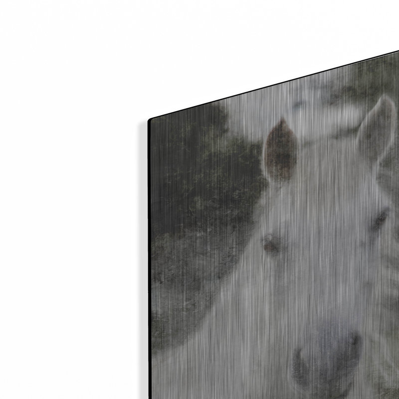«White Horse Mystique» par Bluebird Barn, H 16 po x l 12 po