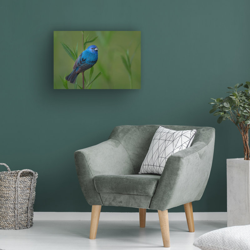 Art sur toile, "olog ", H 12 po x l 19 po