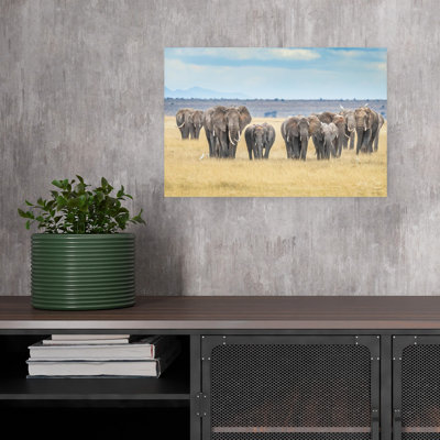 Perseverance Contemporary Elephant Nature Wildlife Wall Art Print by Jeffrey C. Sink - 1 Piece Wrapped Canvas Wall Art