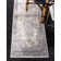 Oriental Indoor Rug