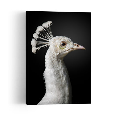 White Peacock Profile Elegant Contemporary Bird Nature Wildlife Wall Art Print by Fegari - Wrapped Canvas Print