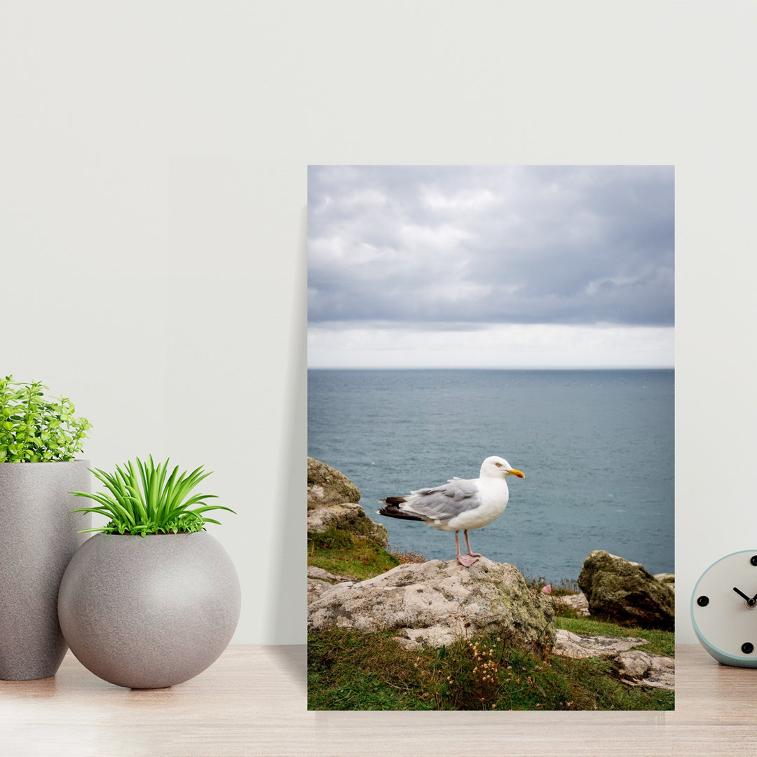 Coastal Seagull Ocean View Peaceful Serene Abstract Seagull Bird Coastal Nature Wall Art Print