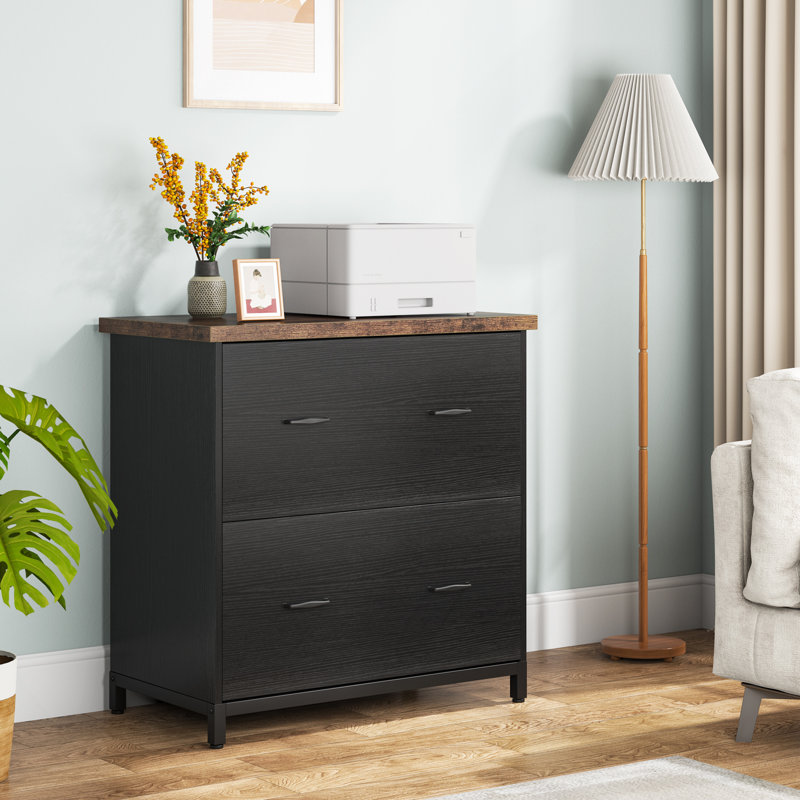 Helane 30.7'' Wide 2 -Drawer File Cabinet, Black/Brown