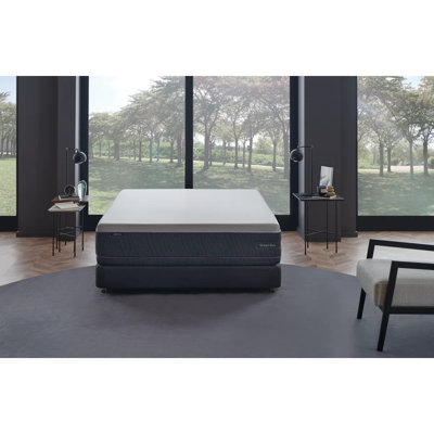 Matelas très grand de 12 po avec ressorts en titane de Dream Box Premier